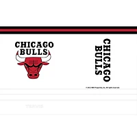 Tervis Chicago Bulls 30oz Arctic Stainless Steel Tumbler