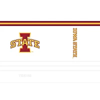 Tervis Iowa State Cyclones Arctic 20oz Stainless Steel Tumbler