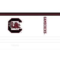 Tervis South Carolina Gamecocks Arctic 20oz Stainless Steel Tumbler
