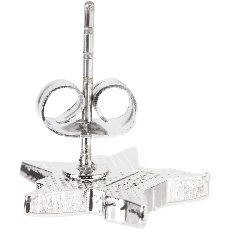 WinCraft Houston Astros Team Post Earrings