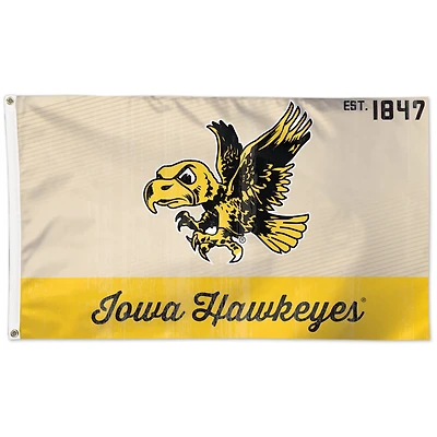 WinCraft Iowa Hawkeyes 3' x 5' Vault One-Sided Flag