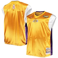 Mitchell  Ness Purple Los Angeles Lakers Hardwood Classics Big Tall On-Court Shooting V-Neck Shirt