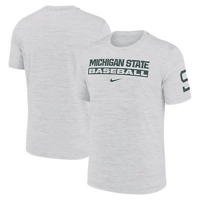 Nike Michigan State Spartans Velocity Baseball Wordmark Stack Performance T-Shirt