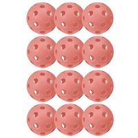 Franklin X-26 USAPA Indoor Pickleball 12-Pack