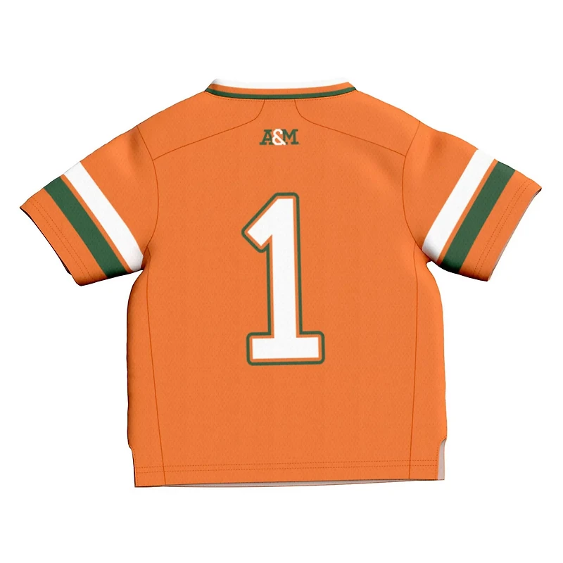 Infant GameDay Greats 1 Florida AM Rattlers Collegiate Football Fashion Jersey