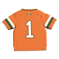 Infant GameDay Greats 1 Florida AM Rattlers Collegiate Football Fashion Jersey