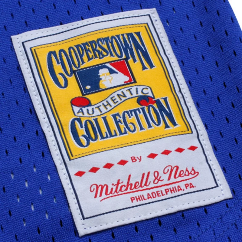 Mitchell  Ness Bo Jackson Kansas City s 1989 Authentic Cooperstown Collection Batting Mesh Practice Jersey