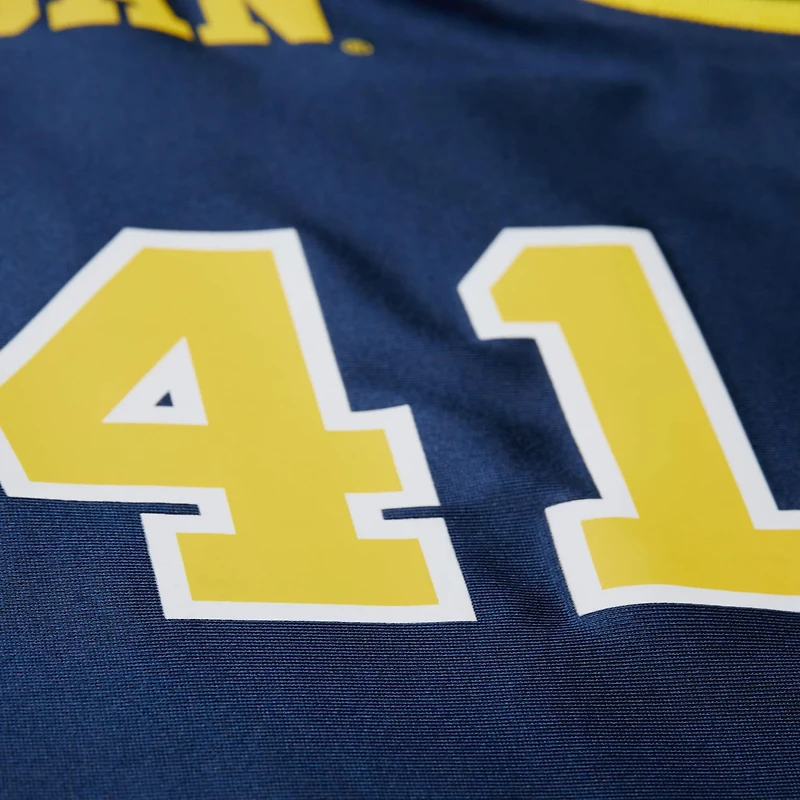 Mitchell  Ness Glen Rice Michigan Wolverines 1988 89 Authentic Jersey