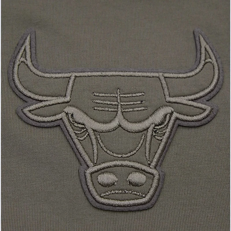 Pro Standard Gray Chicago Bulls Neutrals Short Sleeve Pullover Hoodie