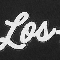 Pro Standard Los Angeles Lakers Paint the City Pullover Sweatshirt