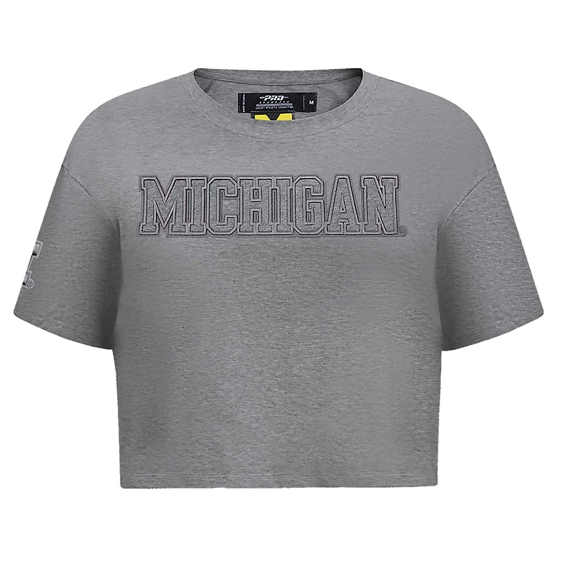 Pro Standard Michigan Wolverines Tonal Neutral Boxy Cropped T-Shirt