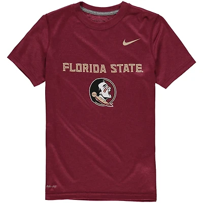 Youth Nike Florida State Seminoles Logo Legend Performance T-Shirt