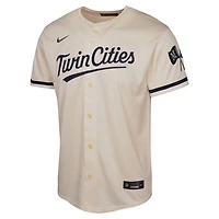Youth Nike Minnesota Twins Alternate Limited Jersey
