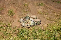 Crocs Adult Classic Veil Abstract Clog