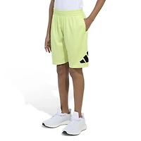 adidas Boys' Essential Big Logo Shorts