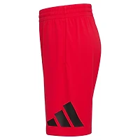 adidas Boys' Essential Big Logo Shorts