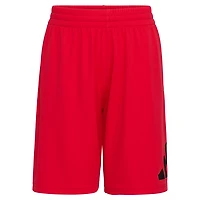 adidas Boys' Essential Big Logo Shorts