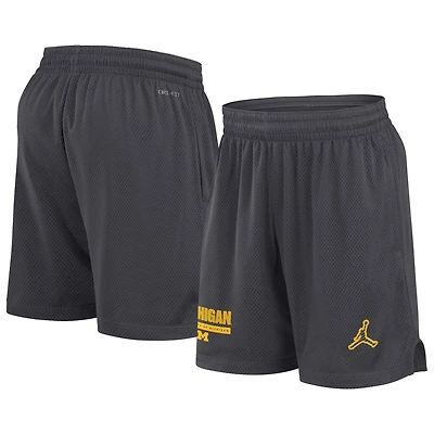Jordan Brand Michigan Wolverines 2024 Sideline Mesh Shorts