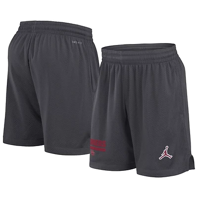 Jordan Brand Oklahoma Sooners 2024 Sideline Performance Mesh Shorts