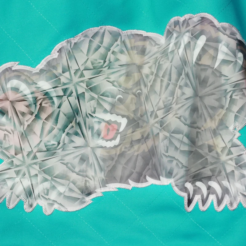 Mitchell  Ness Vancouver Grizzlies 1996 Hardwood Classics 75th Anniversary Swingman Shorts