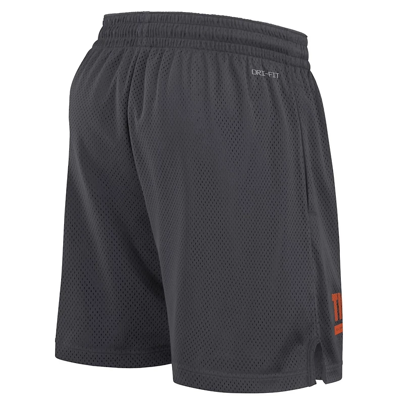 Nike Clemson Tigers 2024 Sideline Mesh Shorts