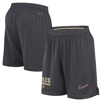 Nike Florida State Seminoles 2024 Sideline Mesh Shorts