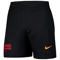 Nike Iowa State Cyclones 2024 Sideline Mesh Shorts