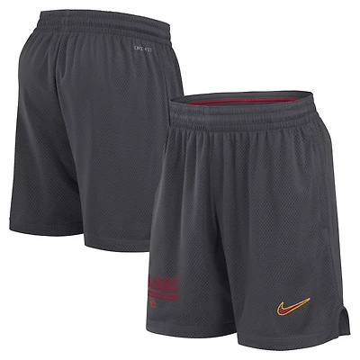 Nike USC Trojans 2024 Sideline Performance Mesh Shorts