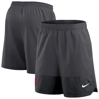 Nike Washington State Cougars 2025 Sideline Performance Shorts