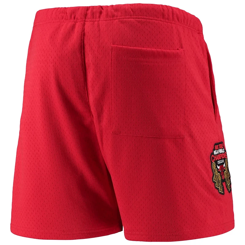 Pro Standard Chicago Bulls Mesh Capsule Shorts