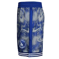 Youth Gray Los Angeles Dodgers Outfielder Shorts