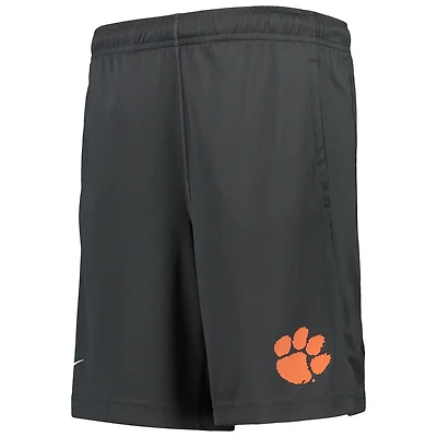 Youth Nike Clemson Tigers Performance Fly Shorts
