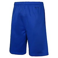 Youth Nike France Basketball 2024 Summer Olympics Swingman Shorts