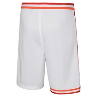 Youth Nike Miami Heat Hardwood Classics Swingman Shorts