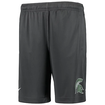 Youth Nike Michigan State Spartans Performance Fly Shorts