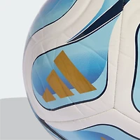 adidas Argentina National Team FIFA x World Cup Federation Ball