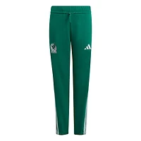 adidas Mexico National Team FIFA x World Cup Alphaskin Pants