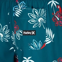 Hurley Boys' Punta Rocas Pull-On Swim Shorts