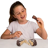 National Geographic Dino Dig Kit