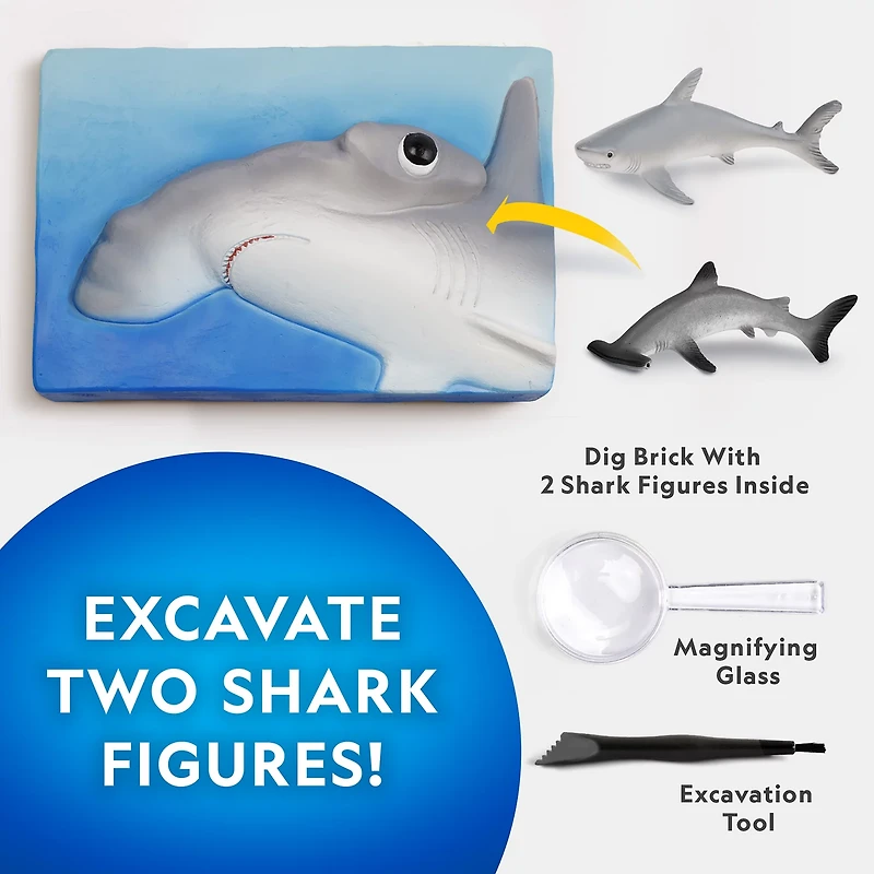 National Geographic Shark Dig Brick