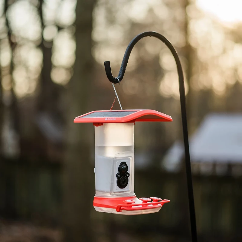 FeatherSnap Hummingbird Smart Feeder