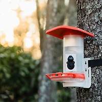 FeatherSnap Hummingbird Smart Feeder