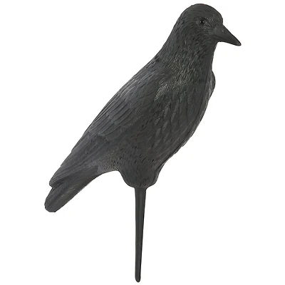 Game Winner 3-D Crow Decoy