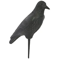 Game Winner 3-D Crow Decoy