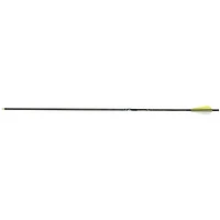 Gold Tip Lightning Youth Carbon Arrow