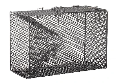 Frabill 18" x 12" x 8" Pinfish Trap
