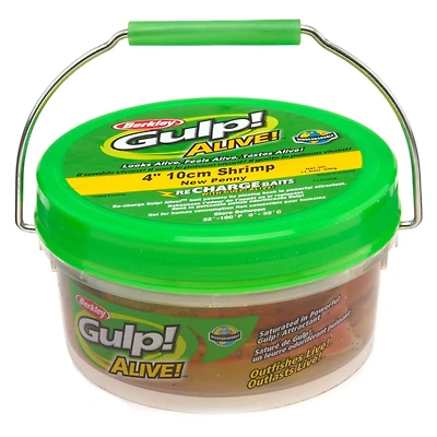 Berkley® Gulp!® Alive!™ 4" Shrimp Small Bucket