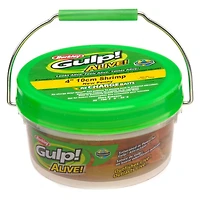 Berkley® Gulp!® Alive!™ 4" Shrimp Small Bucket