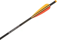 Barnett 20" Composite Bolt