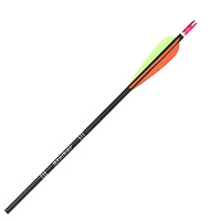 EASTON Black Stalker 2117 Arrow